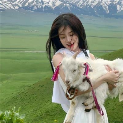 怪奇谜案限时破